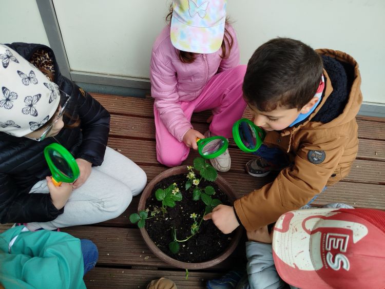 Garten2